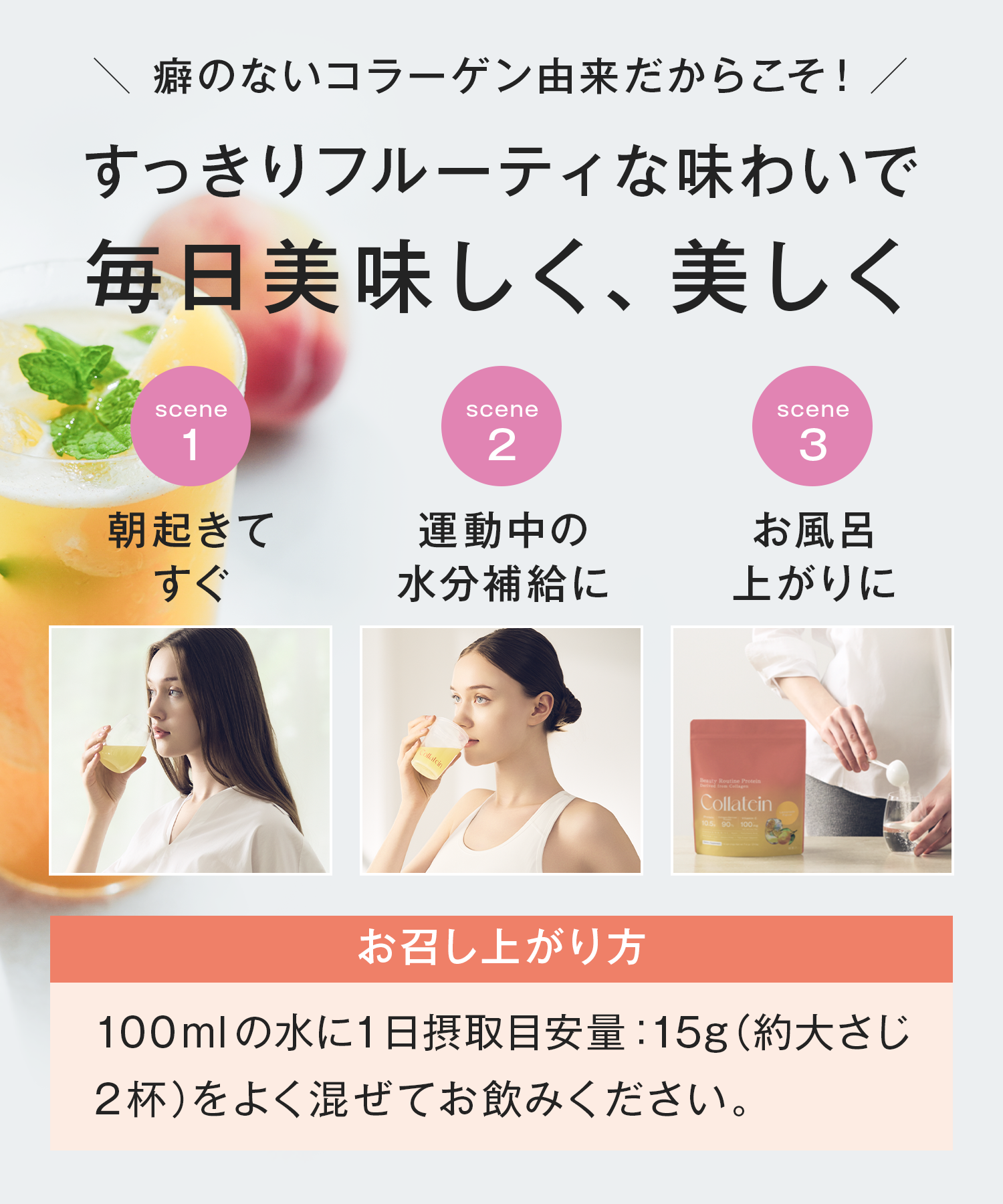 Collatein コラテイン コラーゲンプロテイン 2点セット
