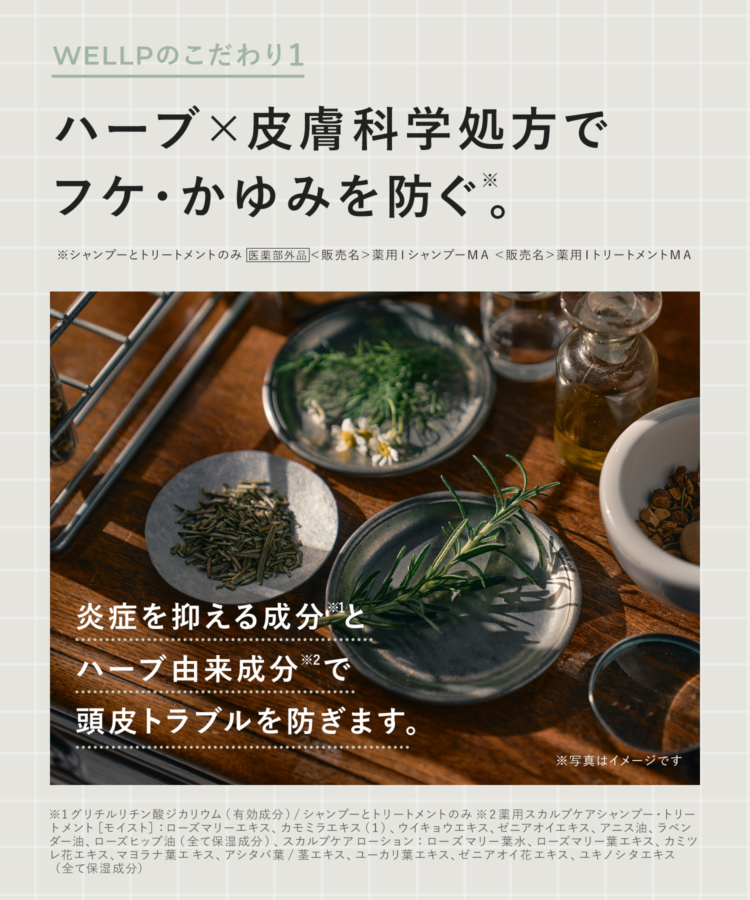 WELLP ウェルプ 薬用スカルプケアシャンプー/トリートメント【詰替】[医薬部外品]