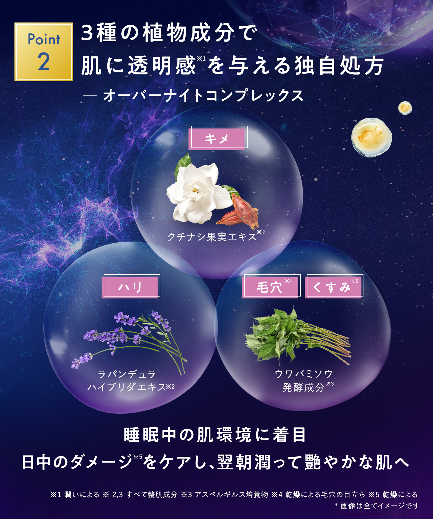 YOLU ヨル スキン 美容液・クリーム 2点セット