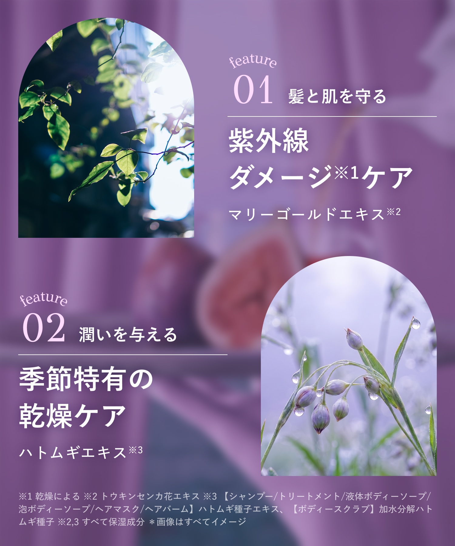 【2026年秋限定】BOTANIST ボタニスト ボタニカルシャンプー・トリートメント 