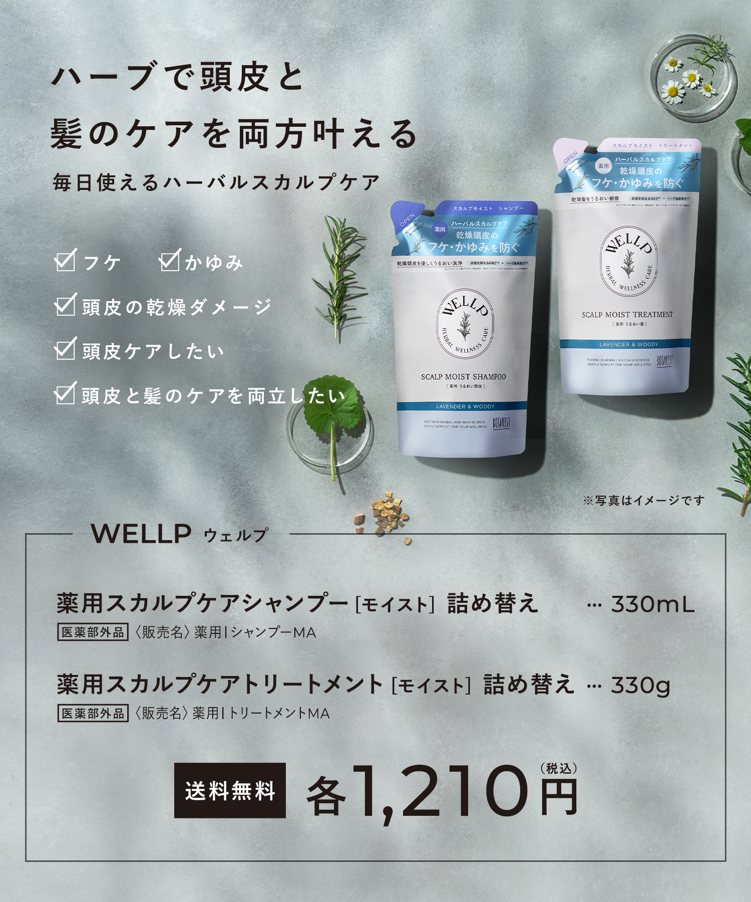 WELLP ウェルプ 薬用スカルプケアシャンプー/トリートメント【詰替】[医薬部外品]