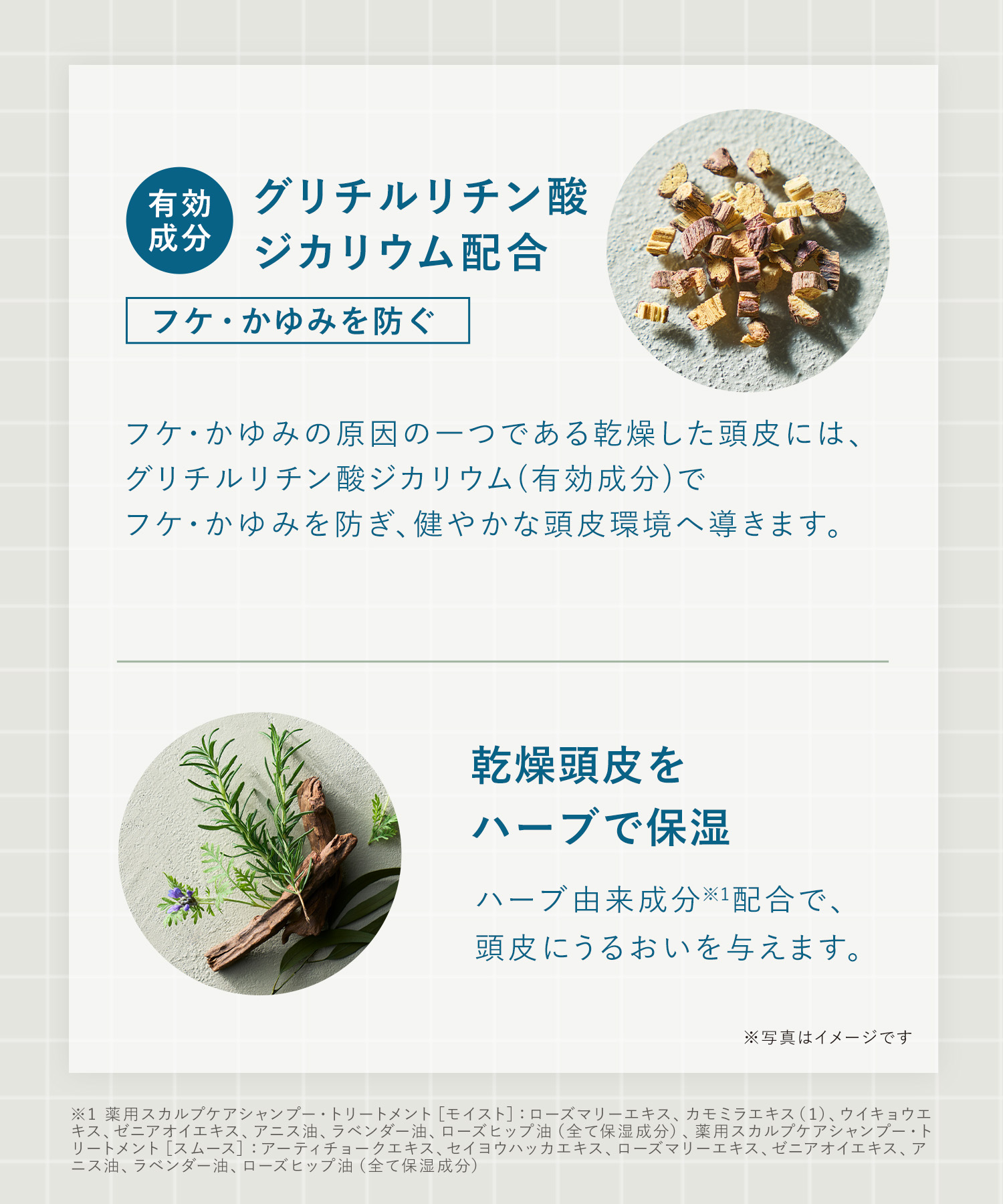 WELLP ウェルプ 薬用スカルプケアシャンプー/トリートメント【詰替】[医薬部外品]