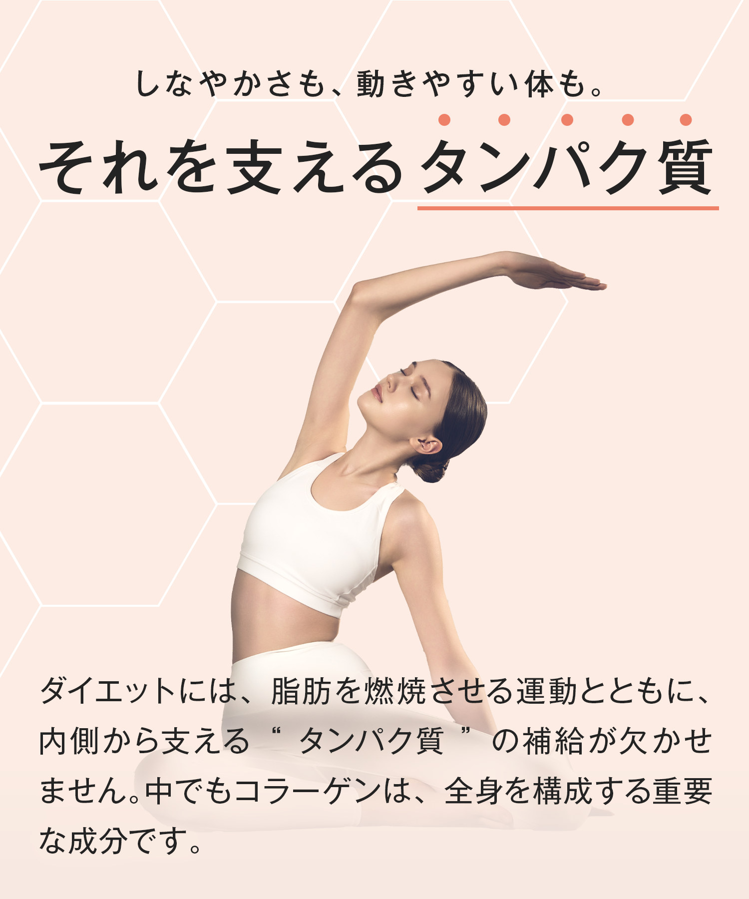 Collatein コラテイン コラーゲンプロテイン 2点セット