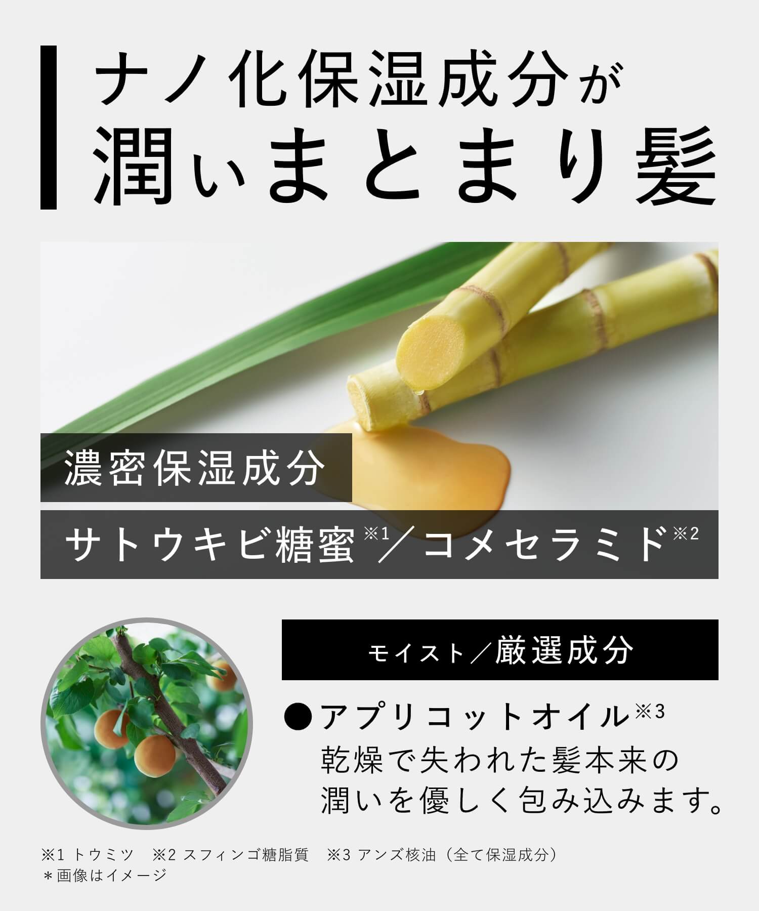 BOTANIST ボタニスト ボタニカルシャンプー・トリートメント ３倍大容量詰替
