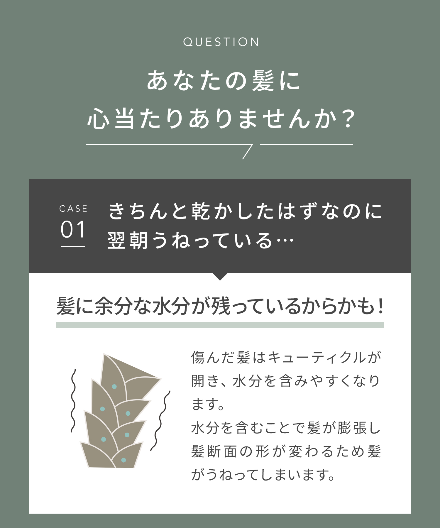 SALONIA サロニア エアトリートメントドライヤー 