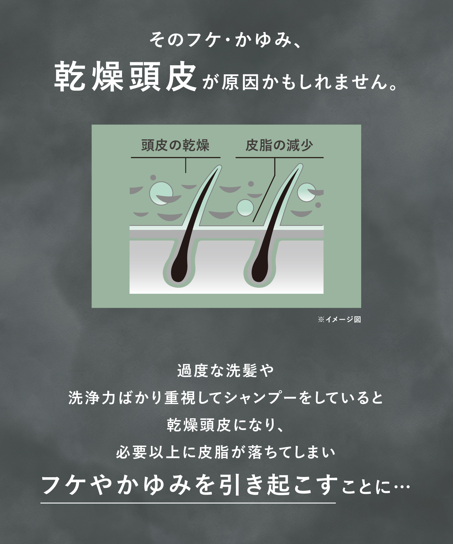 WELLP ウェルプ 薬用スカルプケアシャンプー/トリートメント【詰替】[医薬部外品]