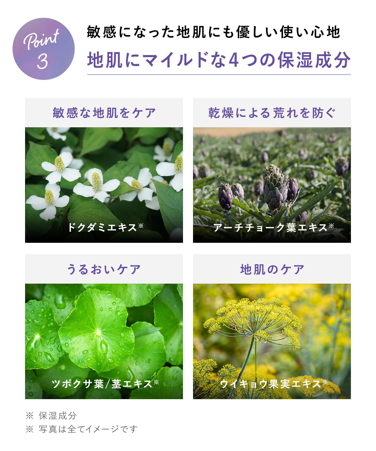 Qurap キュラップ ラッピングモイストシャンプー・トリートメント 詰替