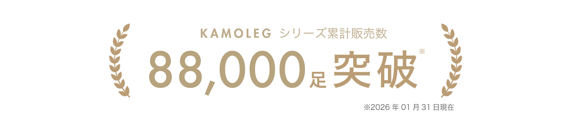 KAMOLEG 2.0 W>
        </div>
    </div><!-- /.inner -->
</div><!-- /#description1 -->



<div class=