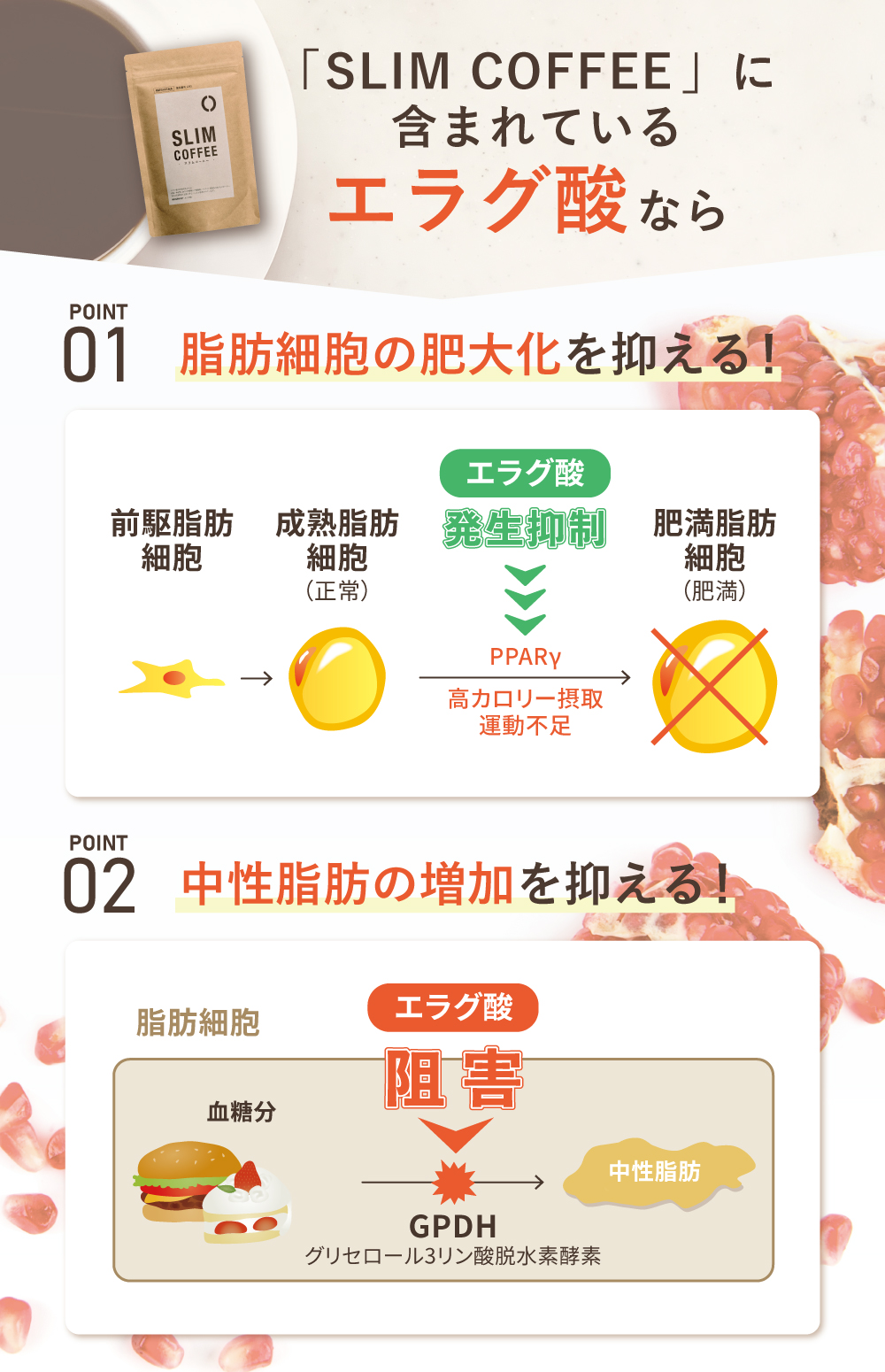 スリムコーヒーの特徴