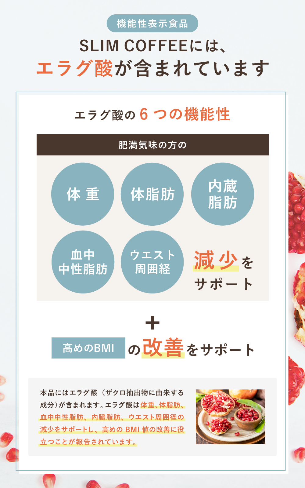 【機能性表示食品】エラグ酸について