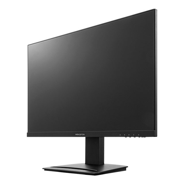 モニター 23.8インチモニター 液晶ディスプレイ PCモニター プリンストン Princeton PTFBFG-24W 1920×1080 スピーカー搭載 液晶モニター 5年保証付き