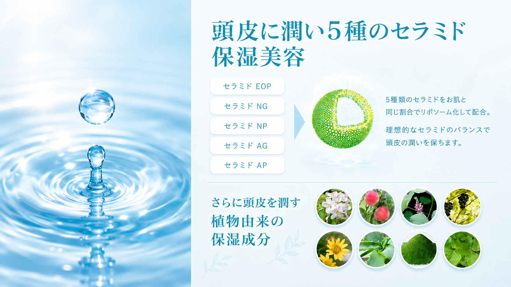 頭皮に潤い 5種のセラミド保湿美容