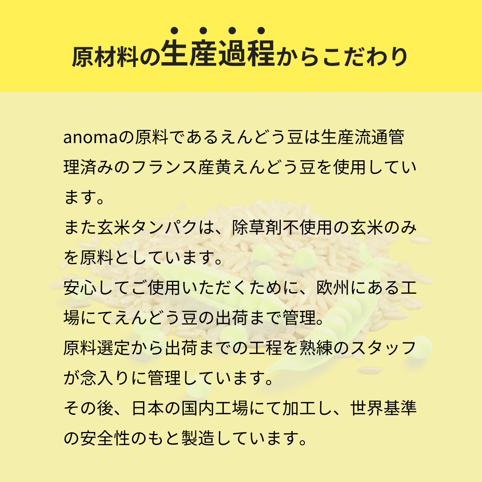 anomaプロテイン バナナシェイク 600g