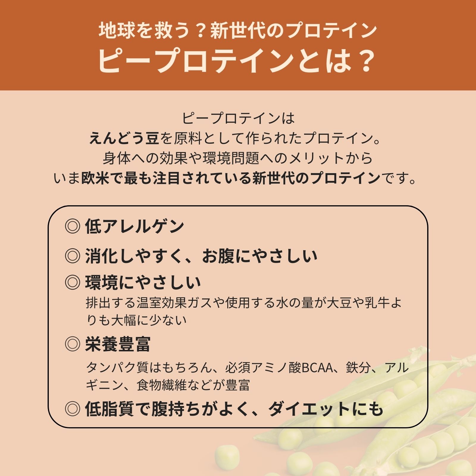 anomaプロテイン キャラメルアーモンド 600g