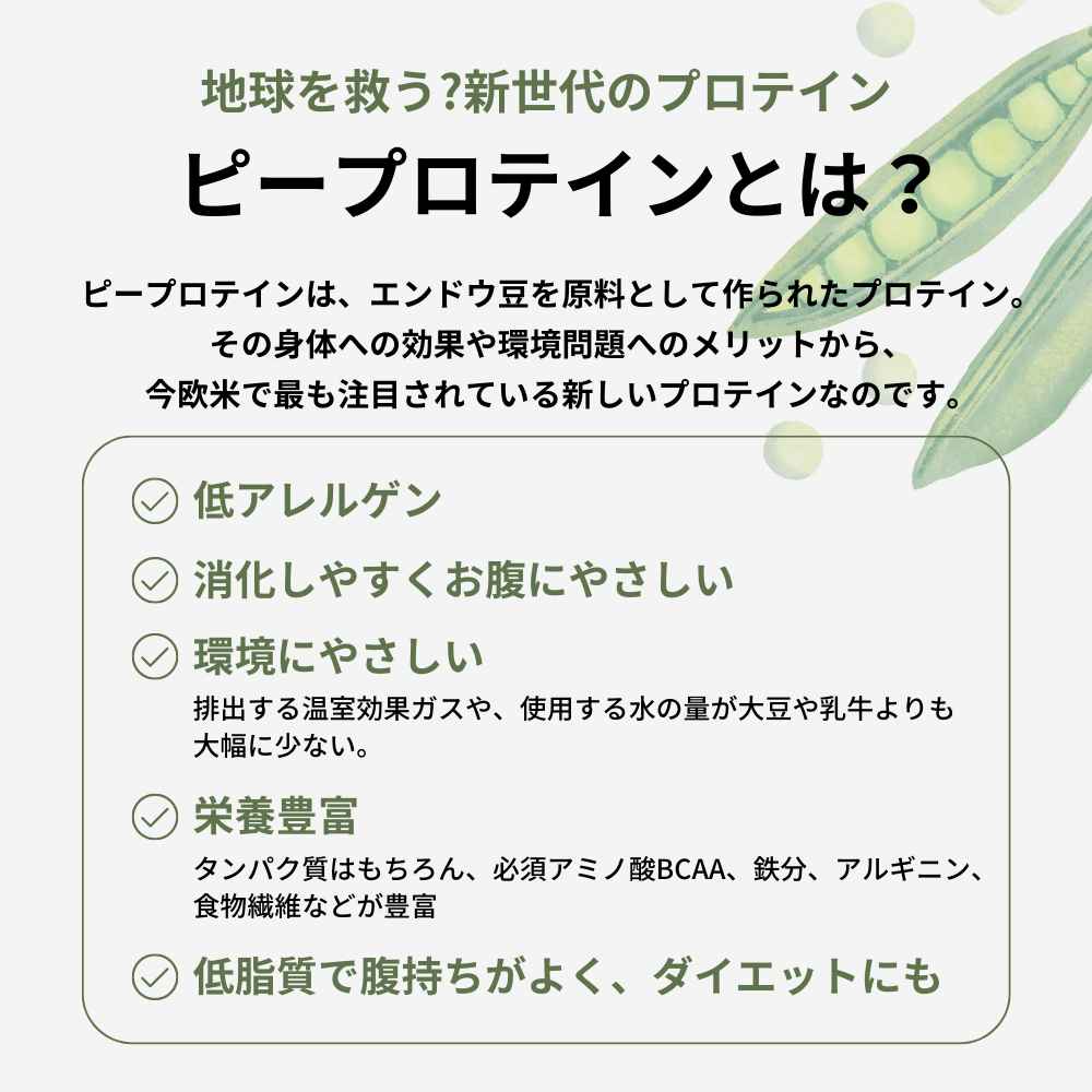 【ブラックフライデー】anomaプロテイン  600g フレーバー: 抹茶（スプーンあり）