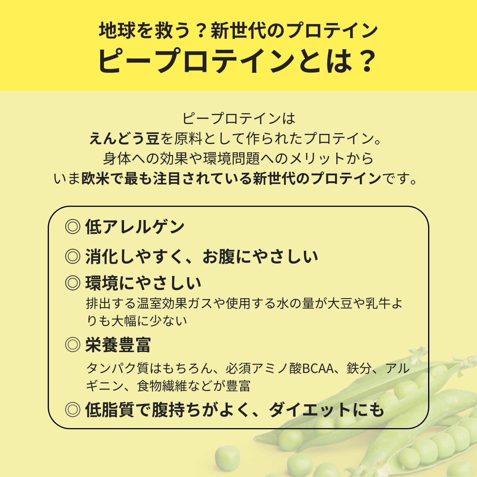 anomaプロテイン バナナシェイク 600g