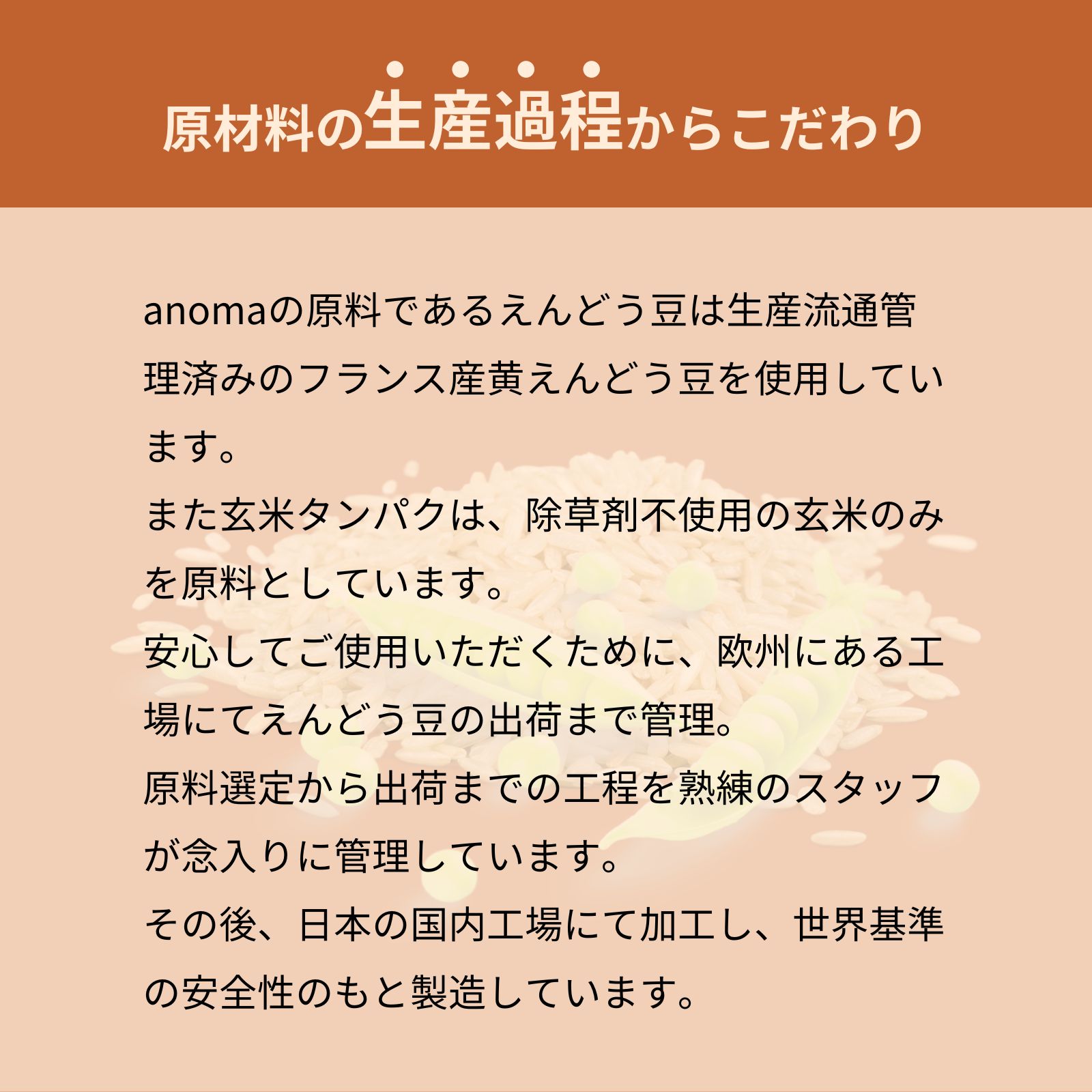 anomaプロテイン キャラメルアーモンド 600g
