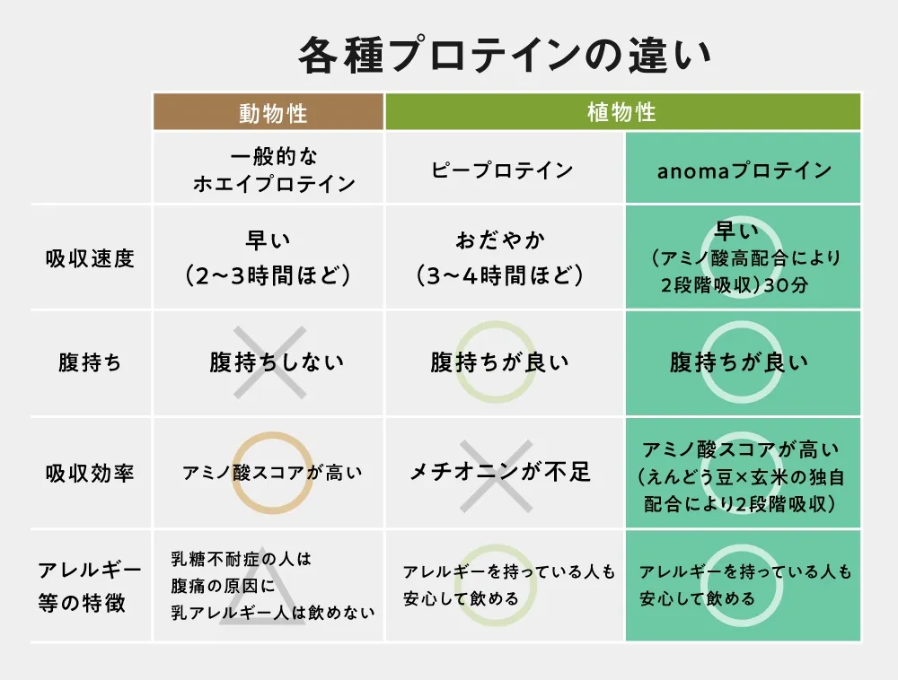 anomaプロテイン