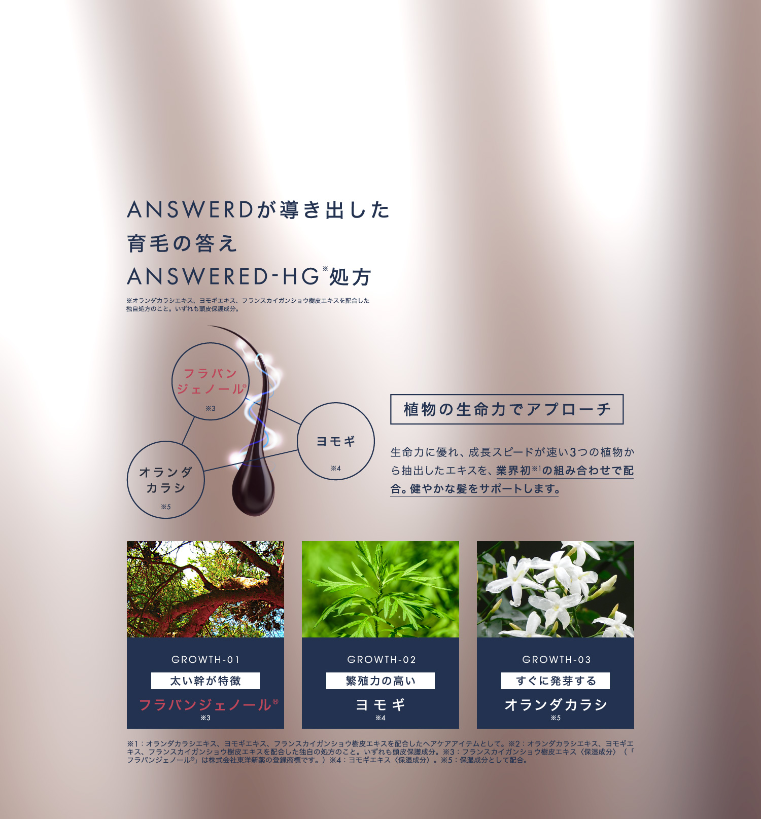 ANSWERDが導き出した育毛の答え ANSWERED-HG