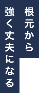 根元から強く丈夫になる