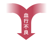 血行不良