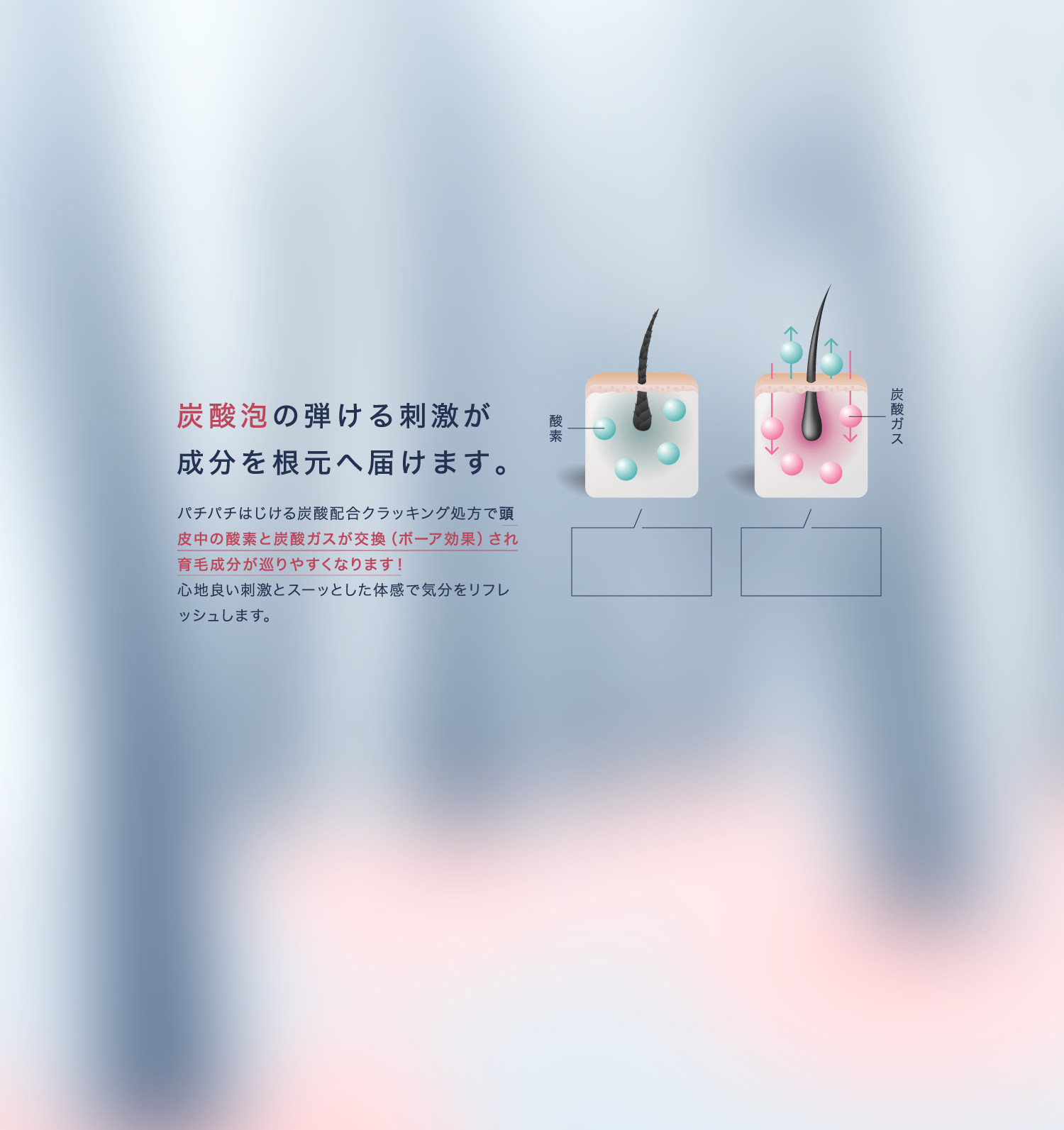 炭酸泡のはじける刺激が成分を根元へ届けます。