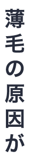 薄毛の原因が