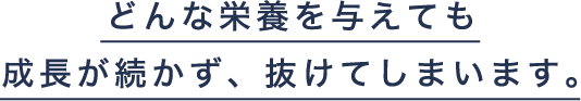 どんな栄養を与えても成長が続かず、抜けてしまいます。