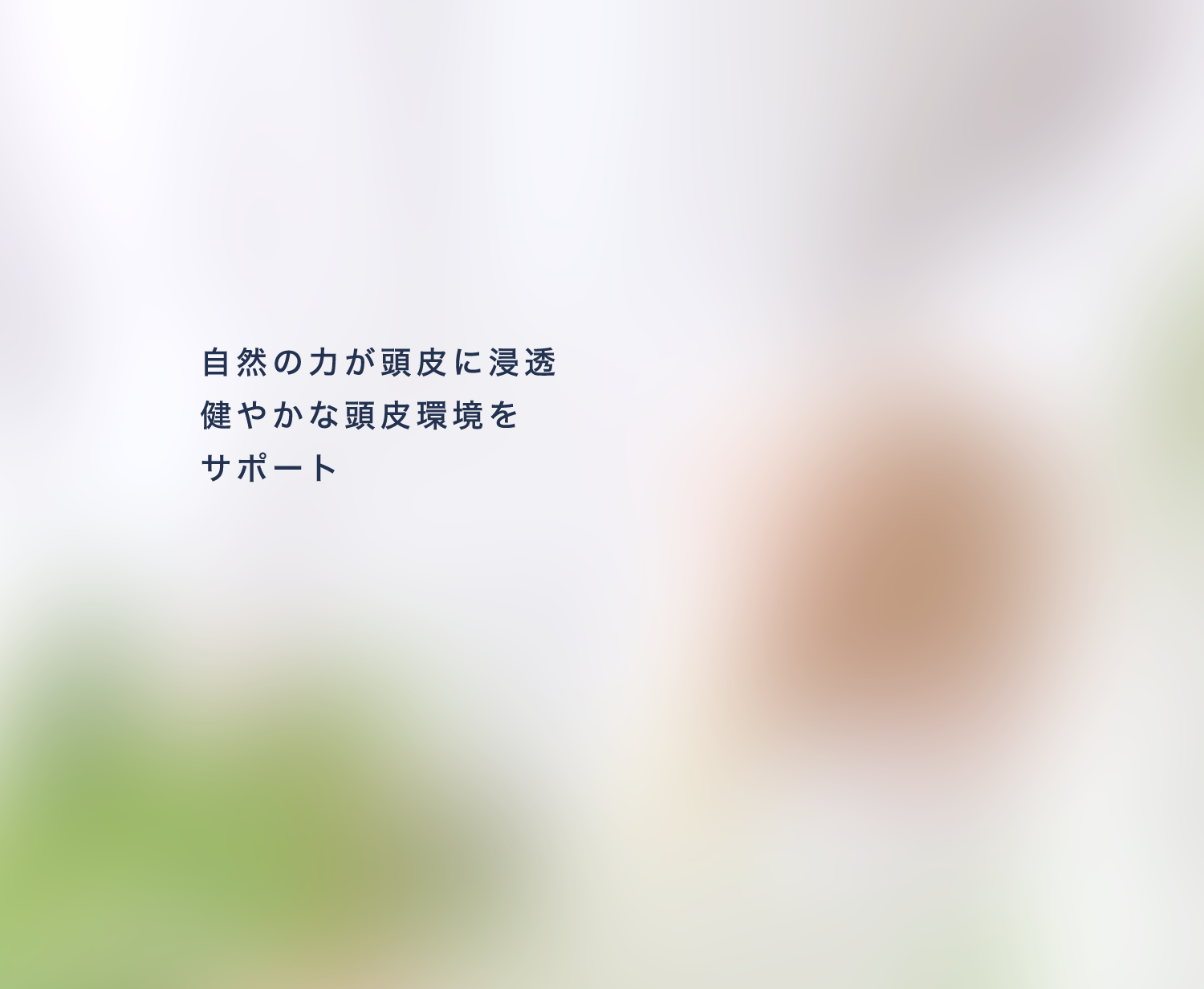 自然の力が頭皮に浸透 健やかな頭皮環境をサポート