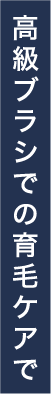 高級ブラシでの育毛ケアで