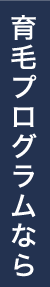 育毛プログラムなら