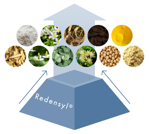 有効成分サポート画像