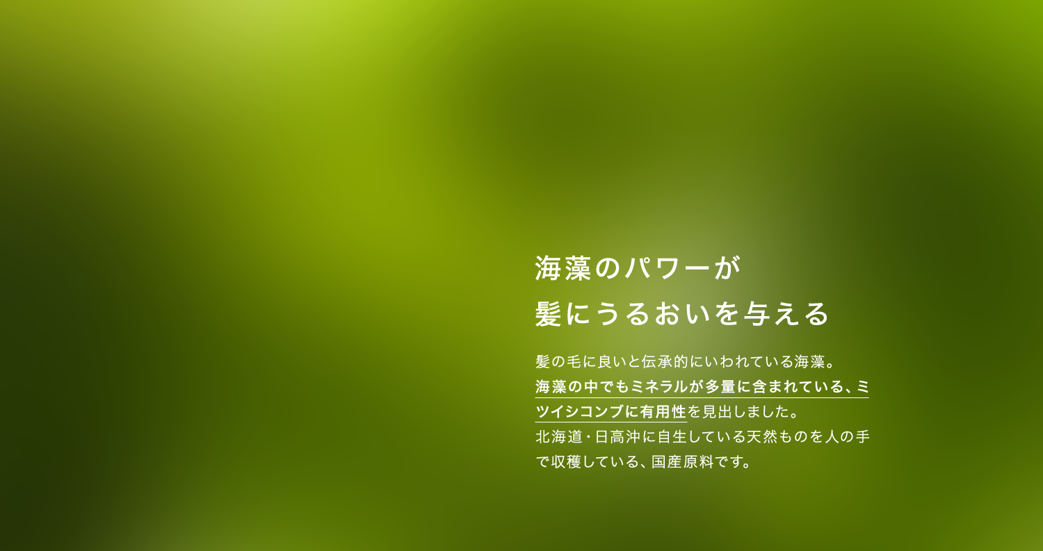 海藻のパワーが髪にうるおいを与える