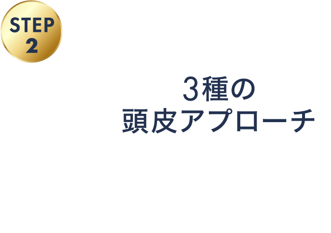 3種の頭皮アプローチ