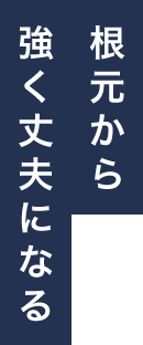根元から強く丈夫になる