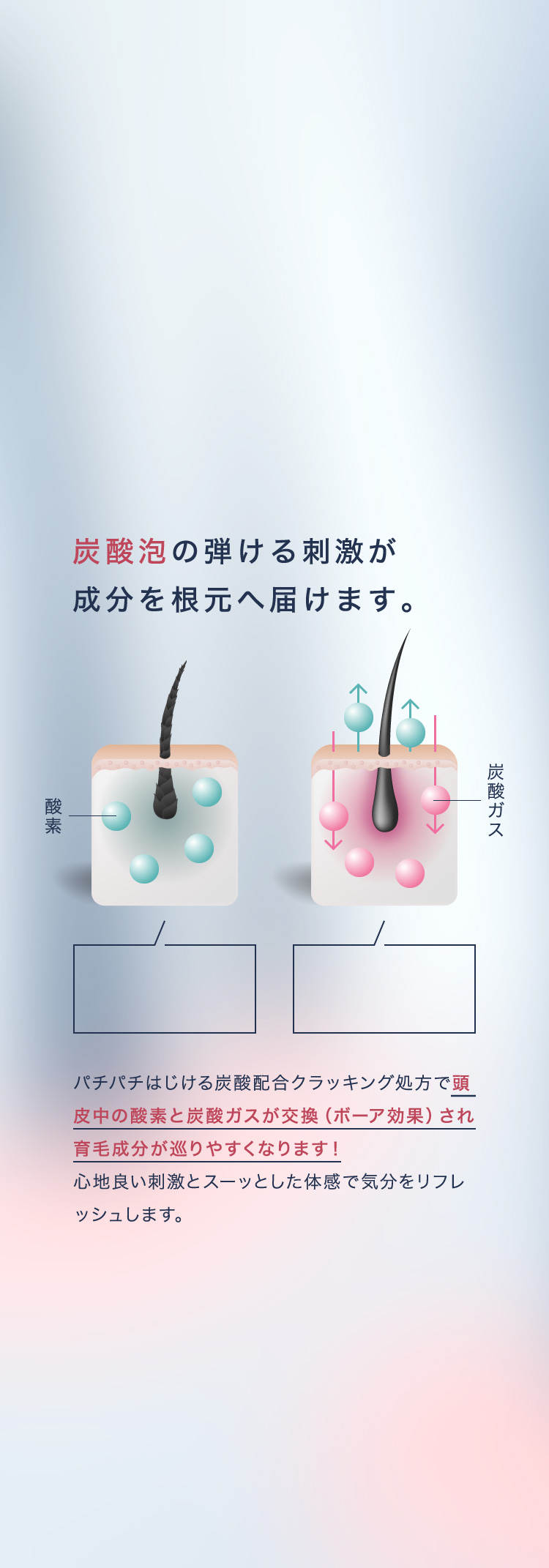 炭酸泡のはじける刺激が成分を根元へ届けます。