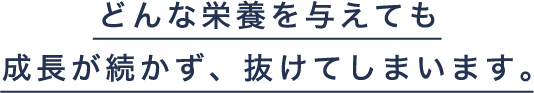 どんな栄養を与えても成長が続かず、抜けてしまいます。