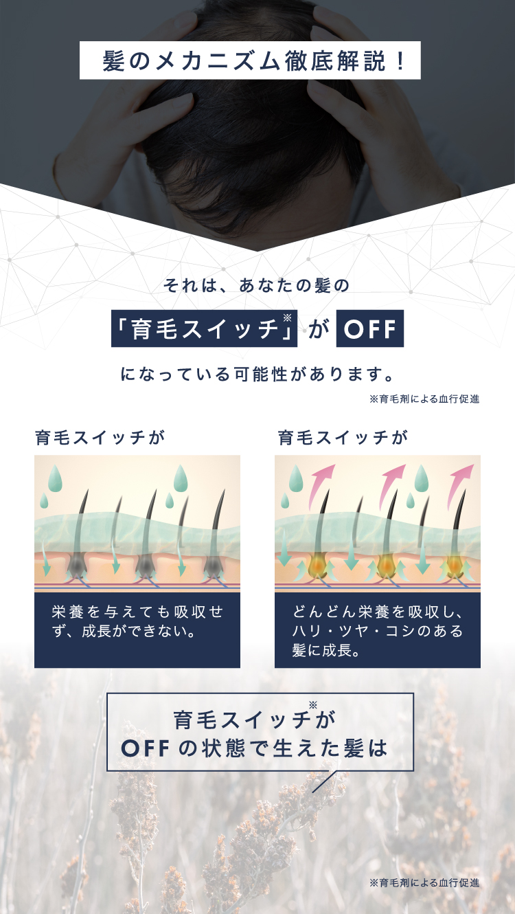 髪のメカニズム徹底解説！