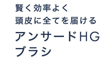 賢く効率よく頭皮に全てを届けるアンサードHGブラシ