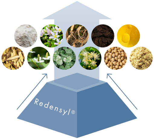 有効成分サポート画像
