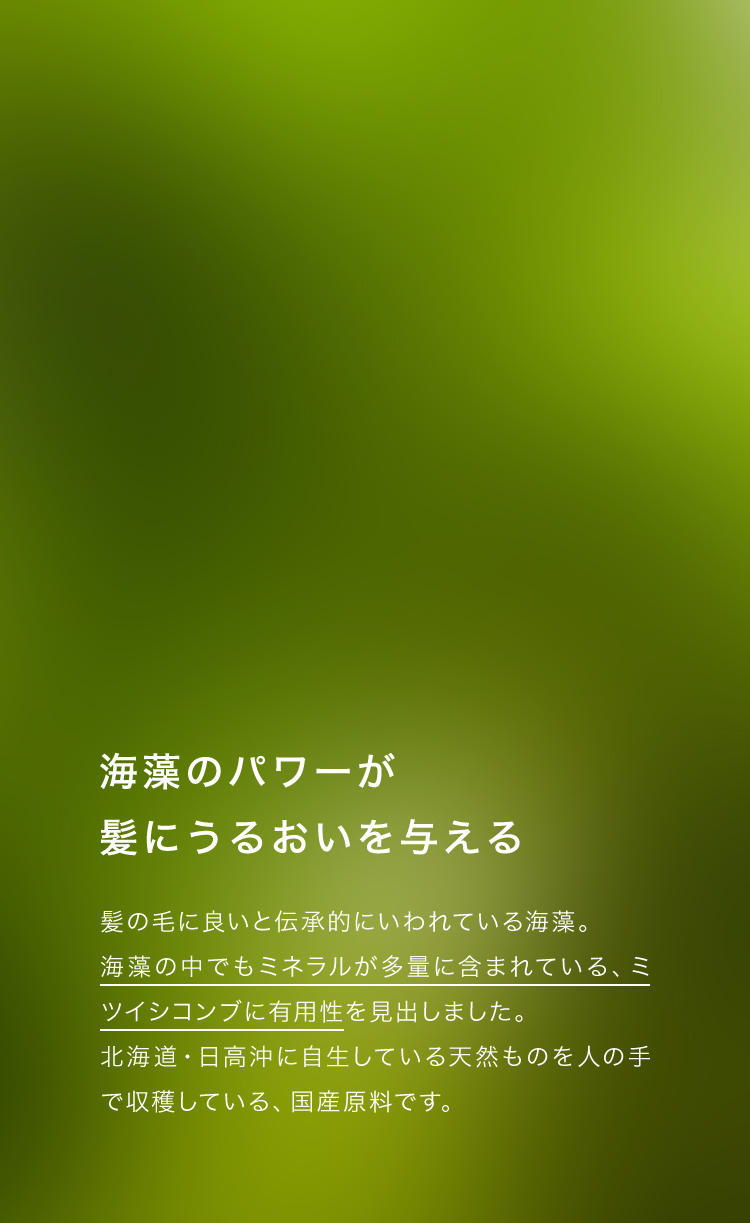 海藻のパワーが髪にうるおいを与える
