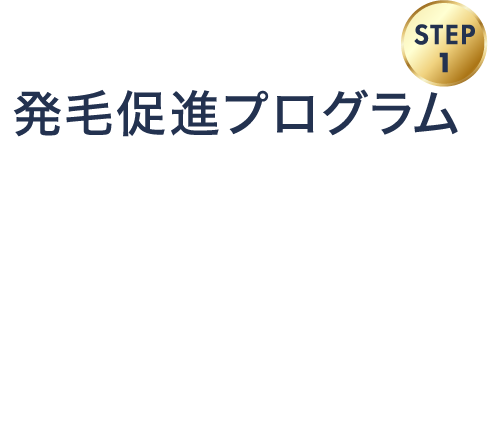 発毛促進プログラム