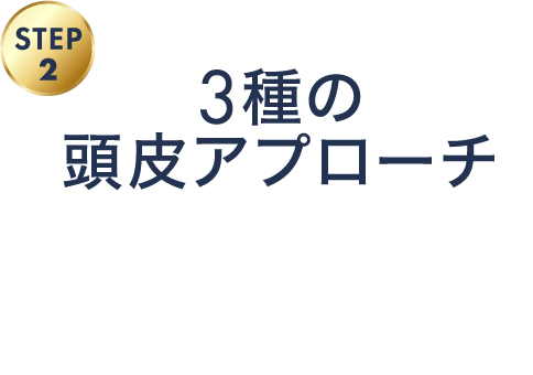 3種の頭皮アプローチ