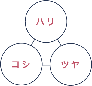 ハリ コシ ツヤ