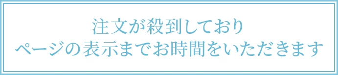 注文が殺到しておりページの表示までお時間をいただきます