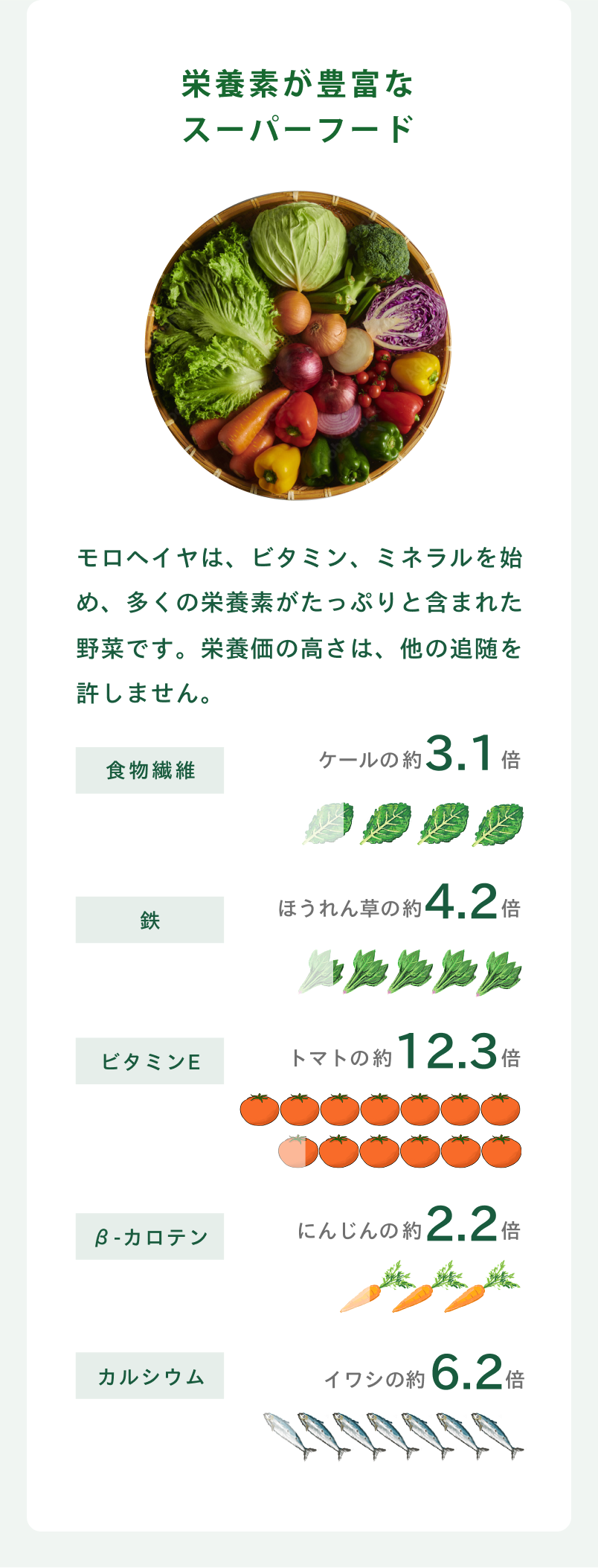 モロヘイヤと他の野菜の栄養価
