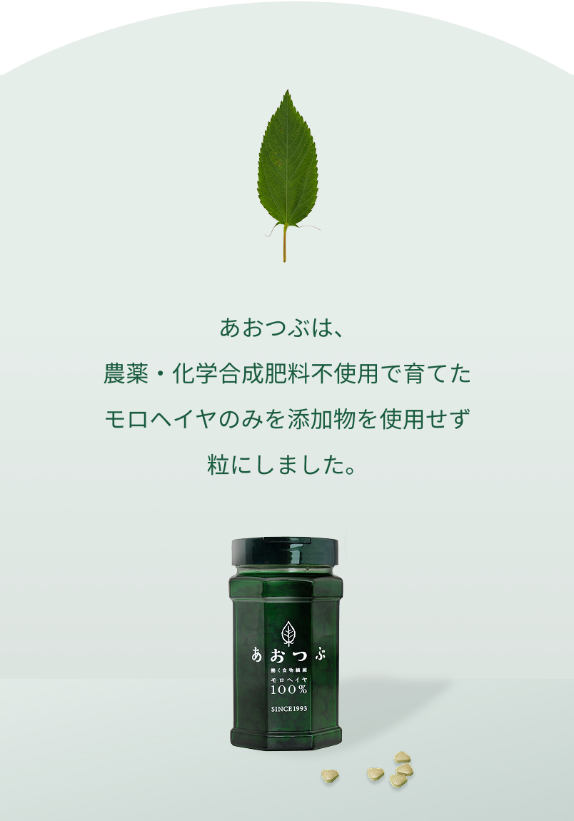 33年間何も足さない