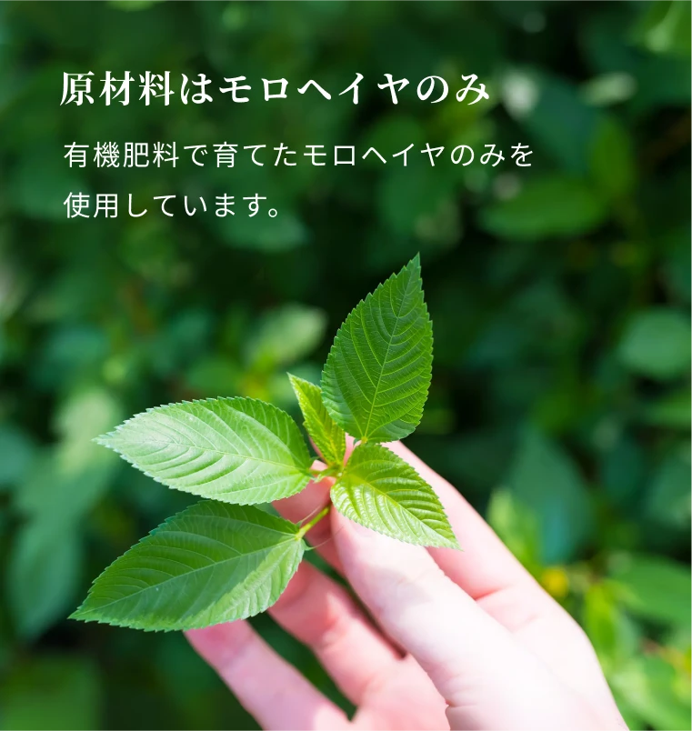 原材料はモロヘイヤのみ