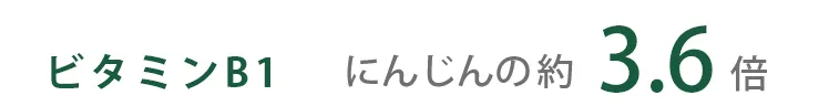 ビタミンB1