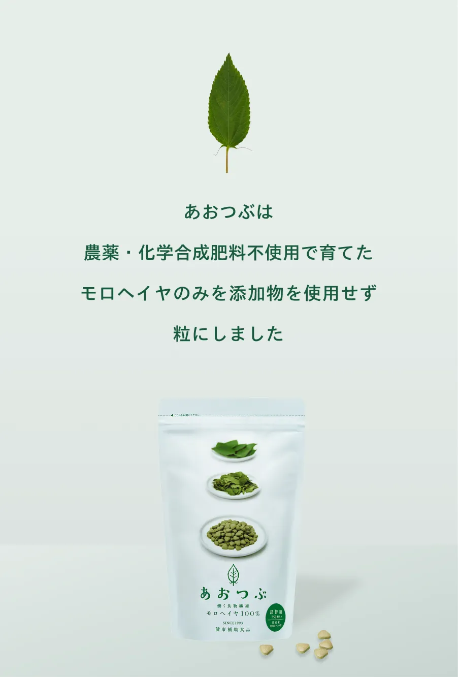 33年